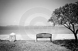 Black and white . At seaside in summer ,chairs on the beachÃ‚Â .Summer, Travel, Vacation and Holiday concept